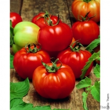 Pomidorai Sultan H