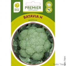 Brokoliai Batavia F1