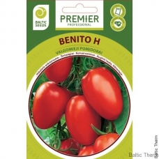 Pomidorai Benito H