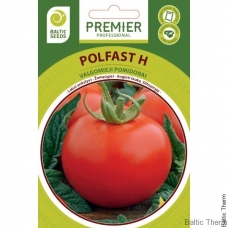 Pomidorai Polfast H
